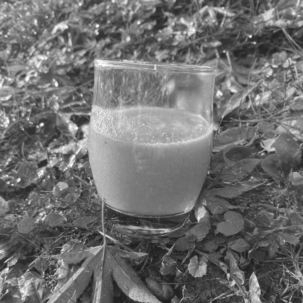 Boisson antioxydante d'hiver
