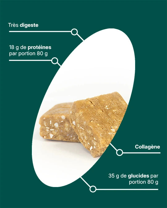 High Protein Bar with Collagen – Recovery Bar